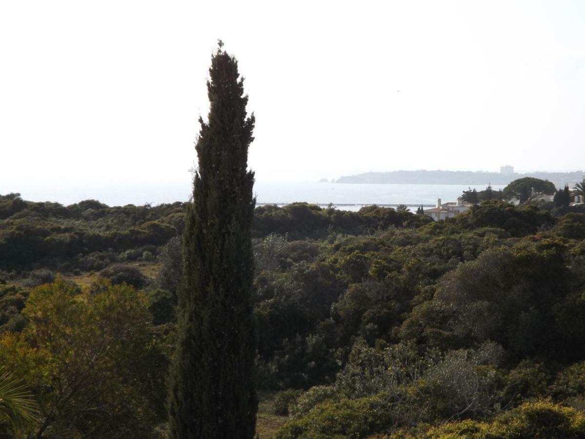 Vila Gaivota Mare Azur Ferragudo  Exterior foto